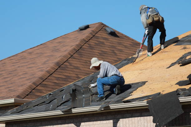 Professional Roofing service in Sullivan City, TX